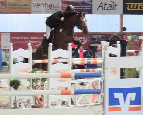 Reitturnier Isterberg 2017