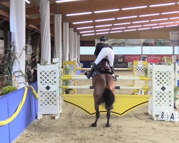 Reitturnier Isterberg 2017