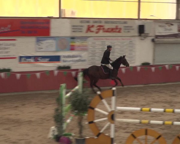 40. Neunkircher Nationalen Reitertage