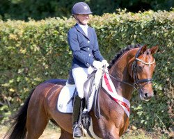 dressage horse Donja Kwg CH (Swiss Warmblood, 2013, from For Romance I)