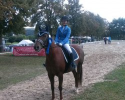 dressage horse Freckles Otoe Badger (Quarter Horse, 2006, from Awesome San Badger)