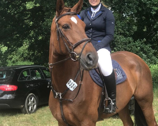 jumper Reuters Halla (Hanoverian, 2011, from Rebell Junior)