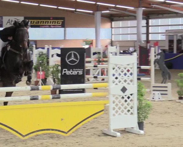Reitturnier Isterberg 2017