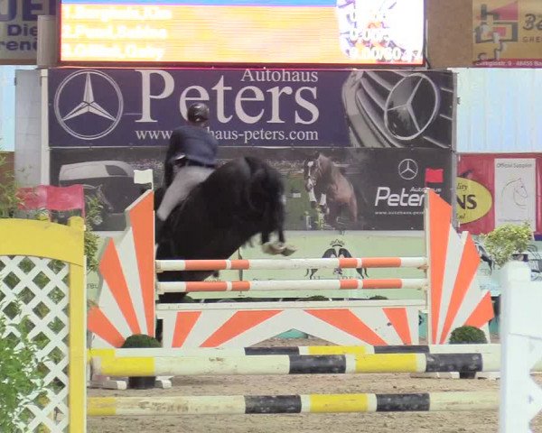 Reitturnier Isterberg 2017