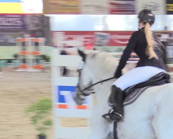 Reitturnier Isterberg 2017