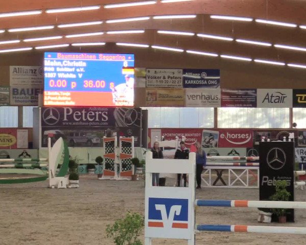 Reitturnier Isterberg 2017