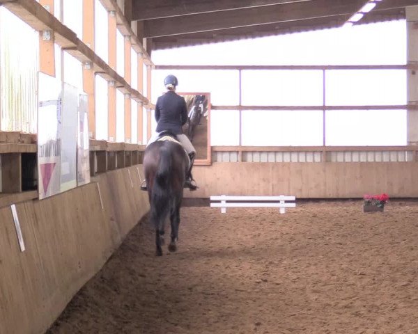 Reitturnier Werdohl-Rentrop 2017