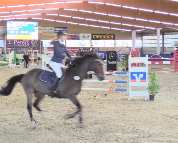 Reitturnier Isterberg 2017