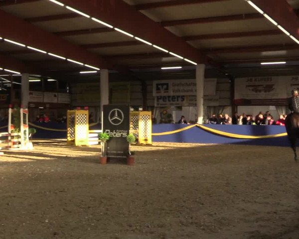 Reitturnier Isterberg 2017