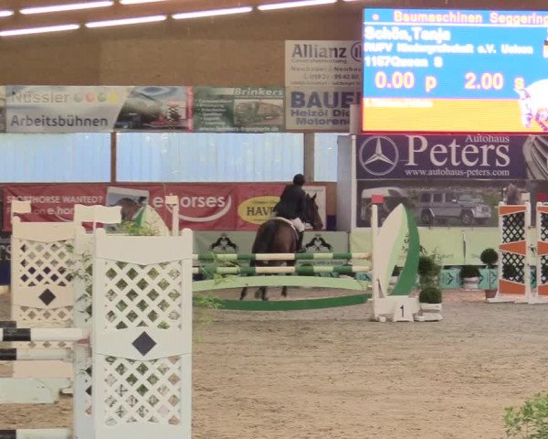 Reitturnier Isterberg 2017
