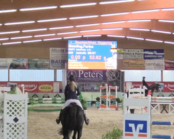 Reitturnier Isterberg 2017