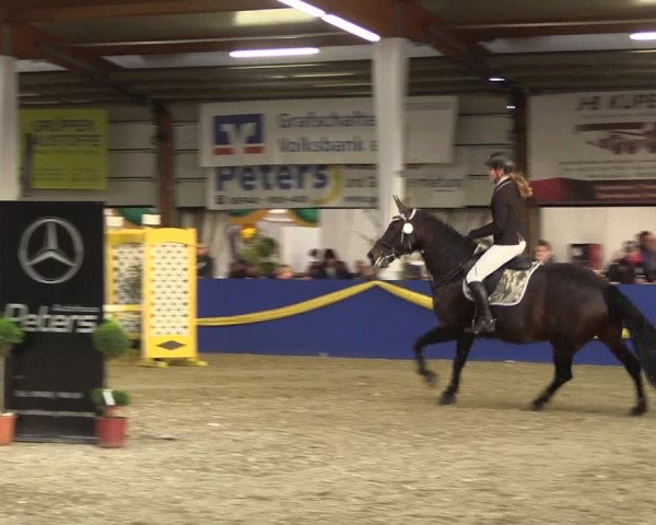 Reitturnier Isterberg 2017