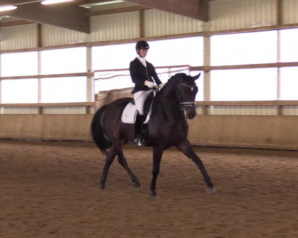 Reitturnier Werdohl-Rentrop 2017