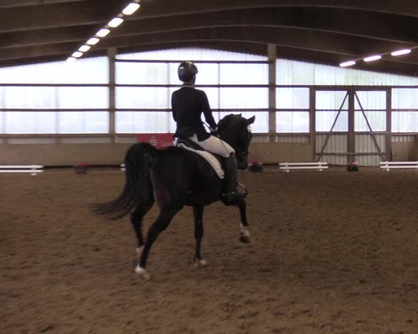 Reitturnier Werdohl-Rentrop 2017