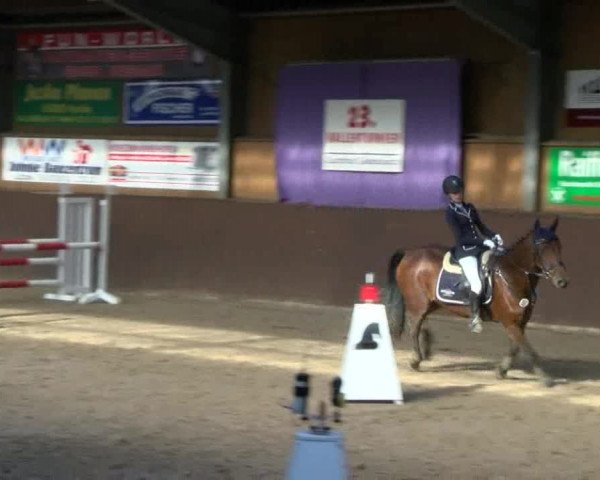 Reitturnier Gadebusch 2017