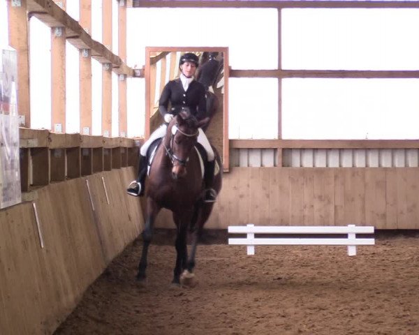 Reitturnier Werdohl-Rentrop 2017