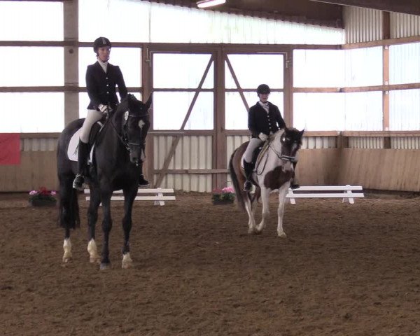 Reitturnier Werdohl-Rentrop 2017