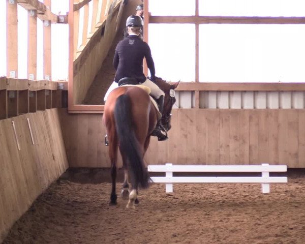 Reitturnier Werdohl-Rentrop 2017