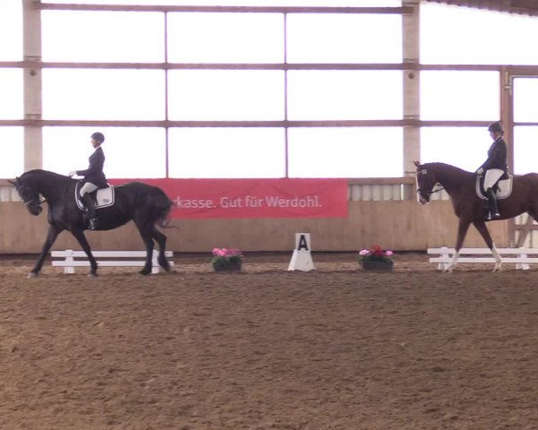 Reitturnier Werdohl-Rentrop 2017