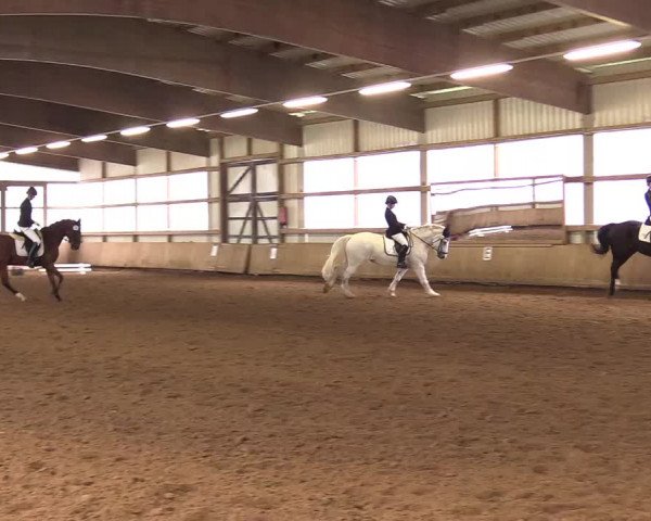 Reitturnier Werdohl-Rentrop 2017