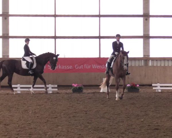 Reitturnier Werdohl-Rentrop 2017