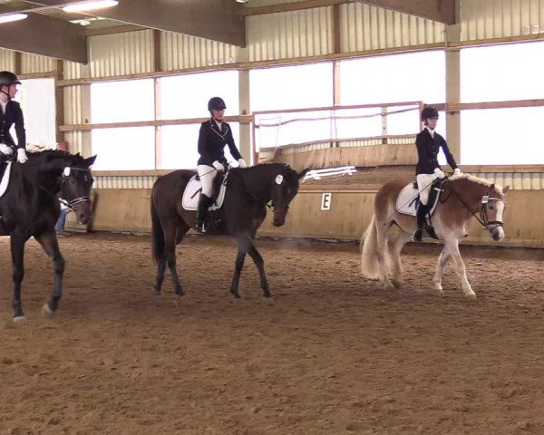 Reitturnier Werdohl-Rentrop 2017