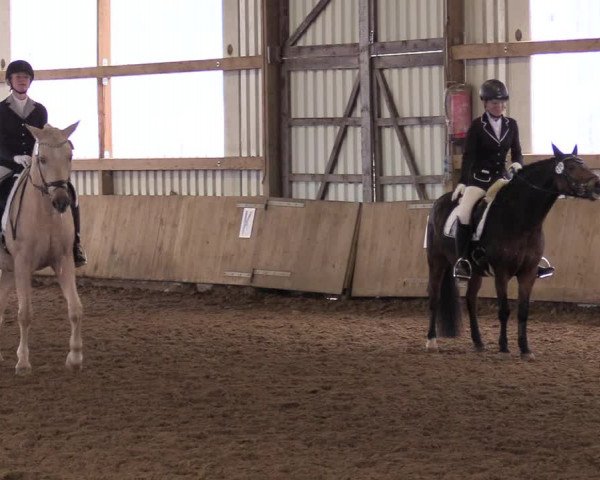 Reitturnier Werdohl-Rentrop 2017
