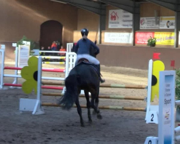 Reitturnier Gadebusch 2017