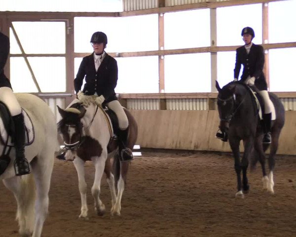 Reitturnier Werdohl-Rentrop 2017