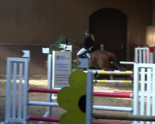 Reitturnier Gadebusch 2017