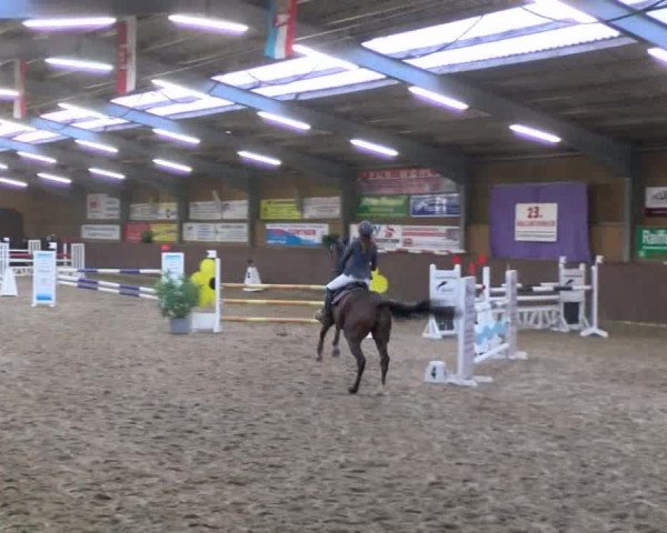 Reitturnier Gadebusch 2017