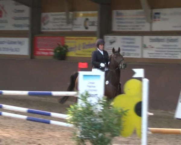 Reitturnier Gadebusch 2017