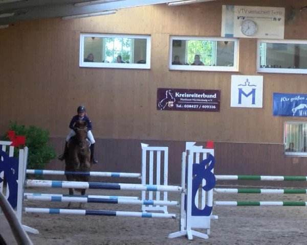 Reitturnier Gadebusch 2017