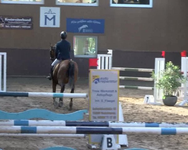 Reitturnier Gadebusch 2017