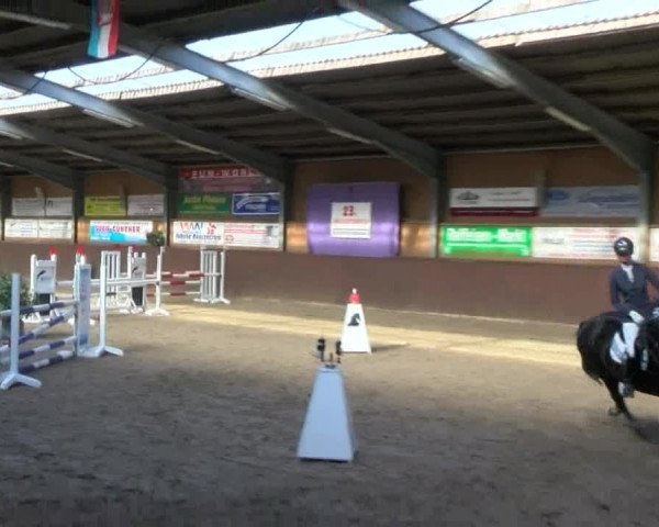 Reitturnier Gadebusch 2017
