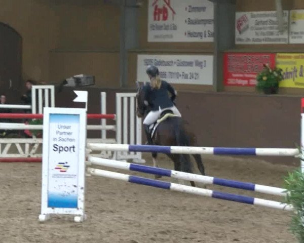 Reitturnier Gadebusch 2017