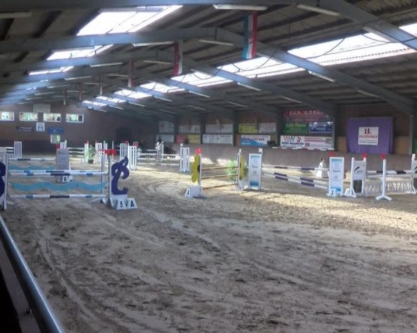 Reitturnier Gadebusch 2017