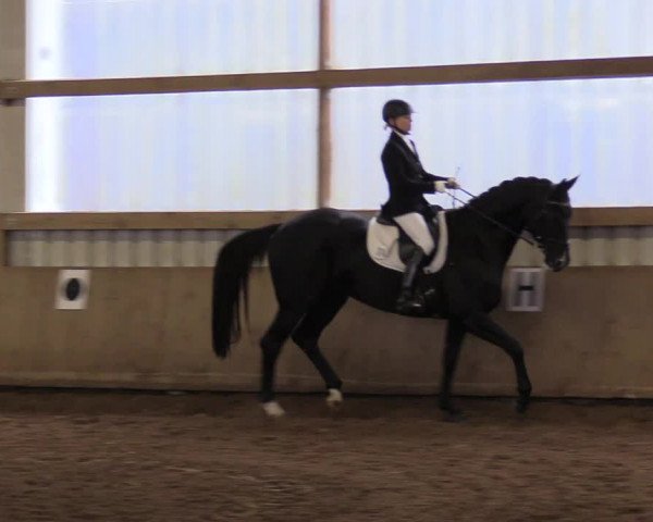 Reitturnier Werdohl-Rentrop 2017