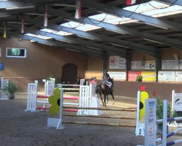 Reitturnier Gadebusch 2017