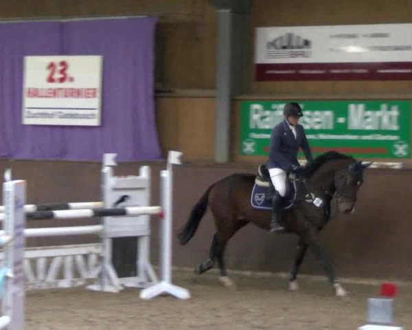 Reitturnier Gadebusch 2017