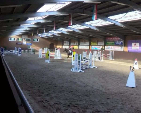 Reitturnier Gadebusch 2017