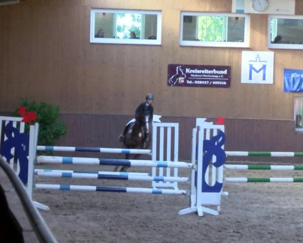 Reitturnier Gadebusch 2017