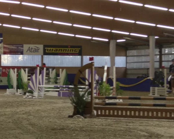 Reitturnier Isterberg 2017
