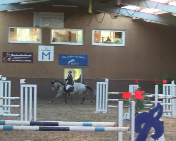 Reitturnier Gadebusch 2017