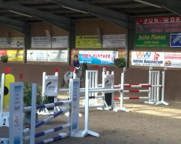 Reitturnier Gadebusch 2017