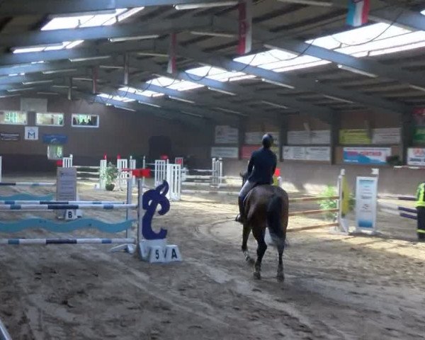 Reitturnier Gadebusch 2017