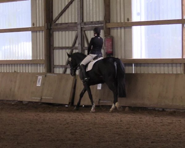 Reitturnier Werdohl-Rentrop 2017