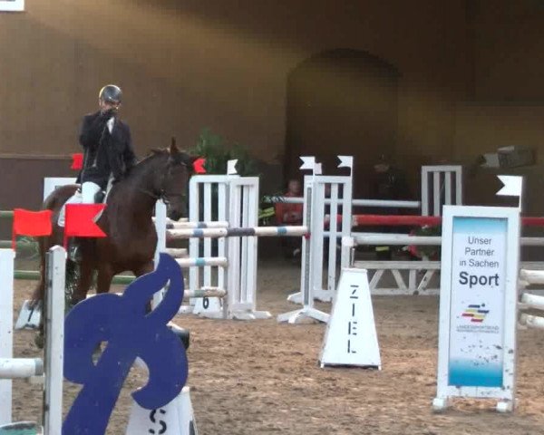 Reitturnier Gadebusch 2017