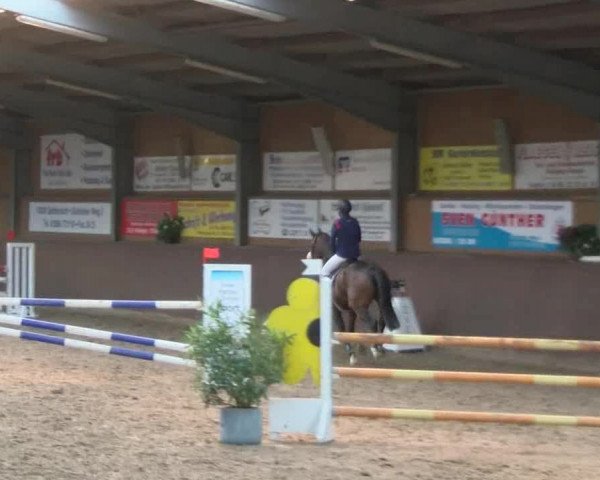 Reitturnier Gadebusch 2017