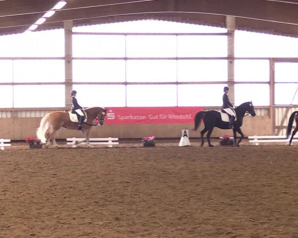 Reitturnier Werdohl-Rentrop 2017